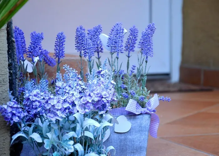 In - Balaton 19754 דירה